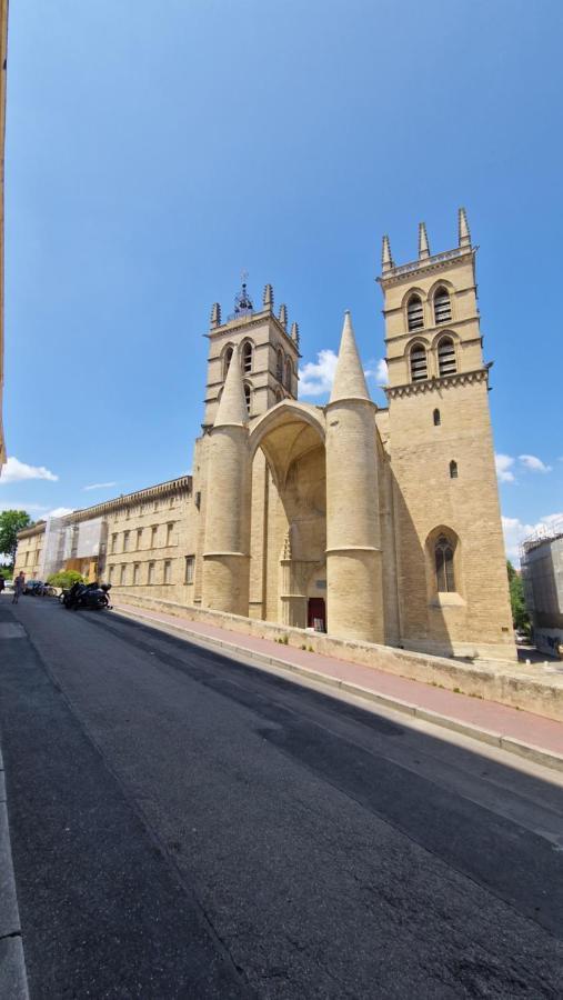 Le Petit Olivier En Coeur De Ville + Parking Incl. มงต์เปอลิเยร์ ภายนอก รูปภาพ